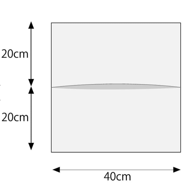 フェイスカバー(1箱/100枚)