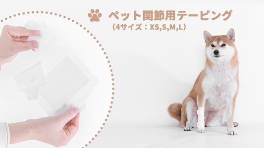 ペット用関節用テーピング